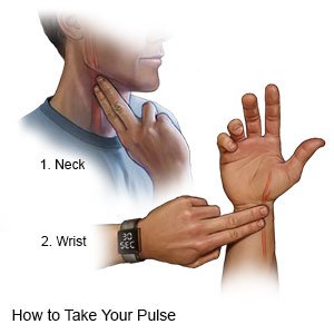 How to Take a Pulse