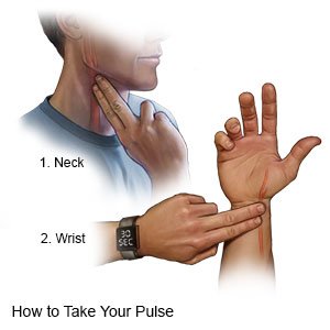 Image result for getting your pulse on neck