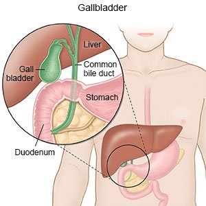 Gallbladder