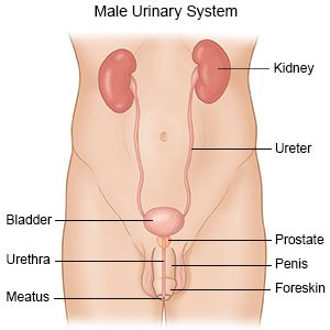 tratament urinare deasa glanda prostatită nu este mărită