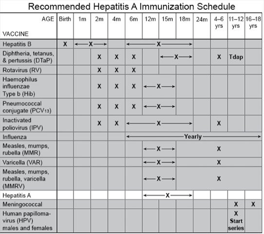 Recommended Hepatitis A Immunization Schedule