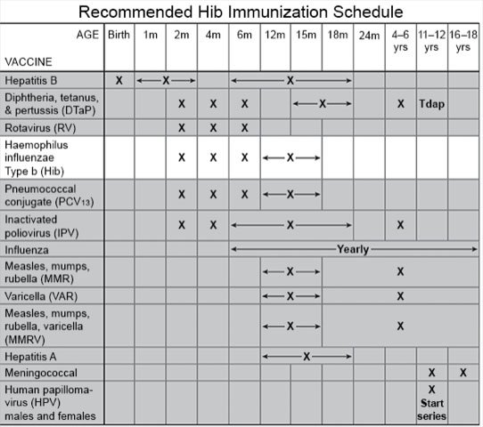 Recommended HiB Immunization Schedule