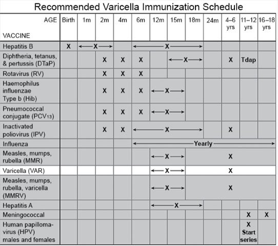 Recommended Chickenpox (VAR) Immunization Schedule