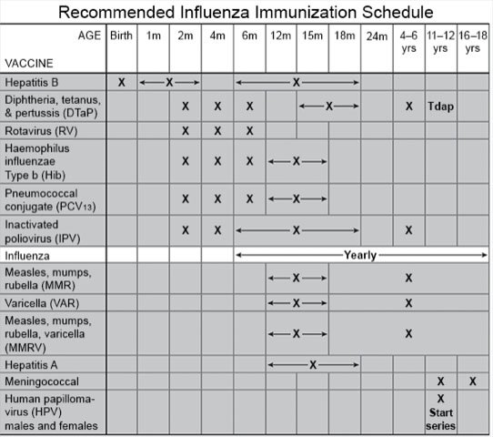 Recommended Influenza Immunization Schedule