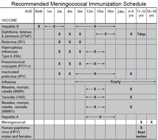 Recommended Meningococcal Immunization Schedule