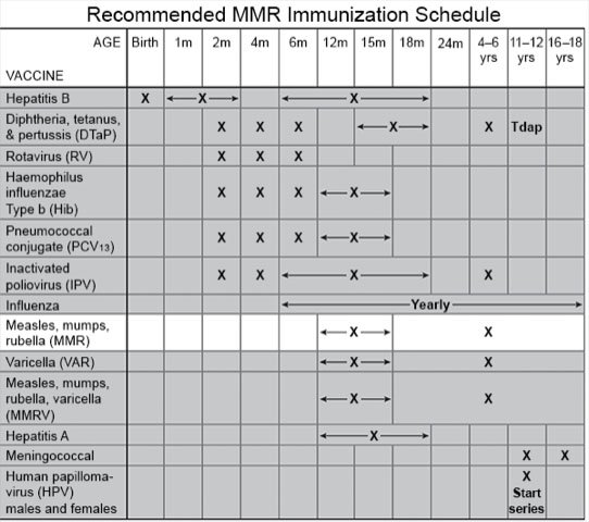 Recommended MMR Immunization Schedule