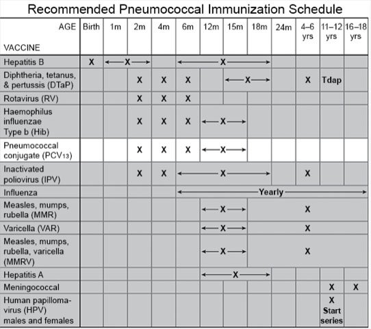 Vaccine pneumococcal Pneumococcal Polysaccharide