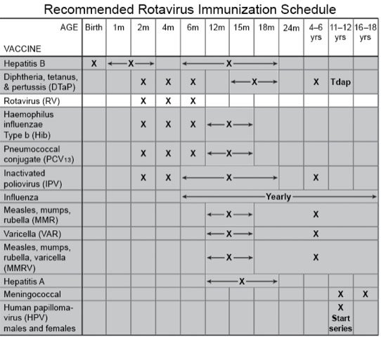 Recommended Rotavirus Immunization Schedule