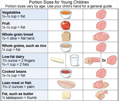Portion Sizes for Young Children