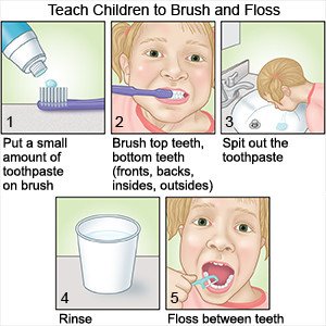 Teach Children to Brush and Floss