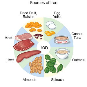 Sources of Iron