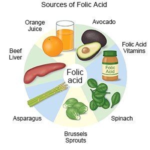Sources of Folic Acid