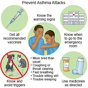 Prevent Asthma: 6 Tips Starting From Home | Getdocsays