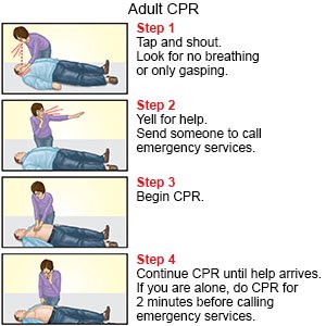 Adult CPR