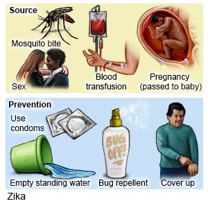 Zika Sources and Prevention
