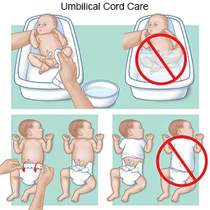 Sponge Bath Newborn Like Pro, Step by Step