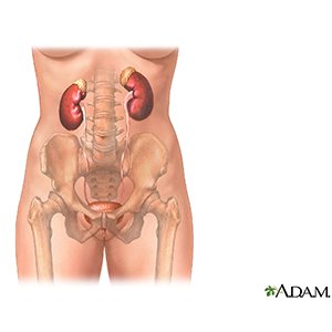 uretritis por un día para que sirve uretritis por un día para que sirve