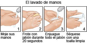 Lavado de manos