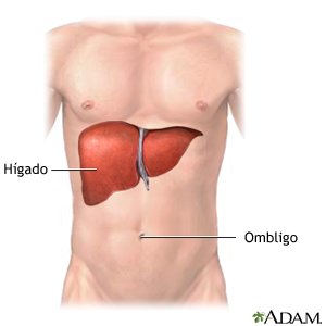 hepatitis b sintomas y signos