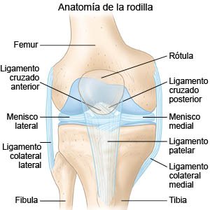 Esguince De Rodilla Care Guide Information En Espanol