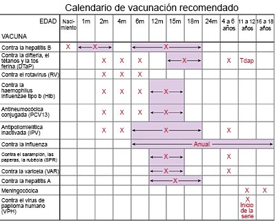 Calendario de vacunación recomendado para 2022