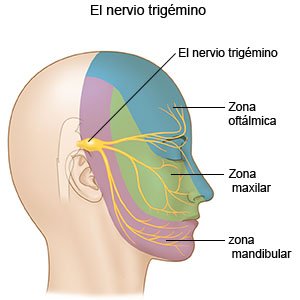 Nervio trigémino