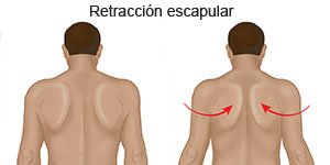 Ejercicios Para La Espalda Superior Care Guide Information En Espanol