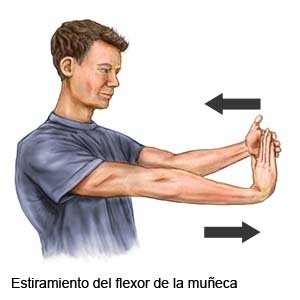 Elongación del flexor de la muñeca