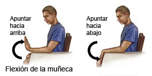 Flexión de la muñeca