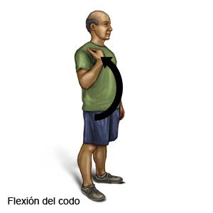 Flexión del codo