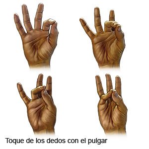 Toque de los dedos con el pulgar