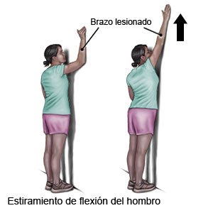 Estiramiento de flexión del hombro