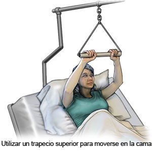 Trapecio Cama - Mayores y Más