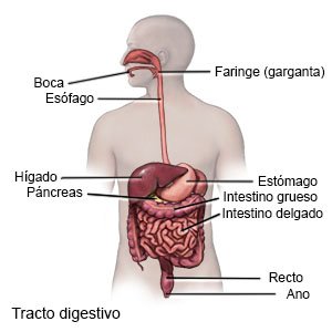 estomago inflamado y gases