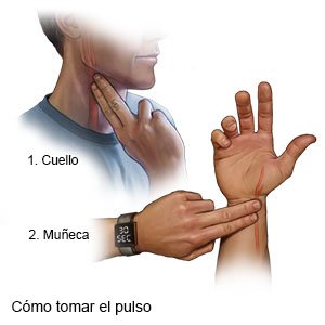 La forma de tomar el pulso