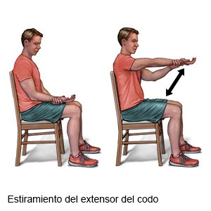 Extensión del codo