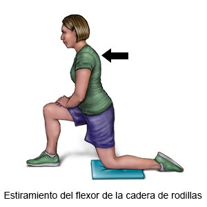 Flexor de la cadera, de rodillas