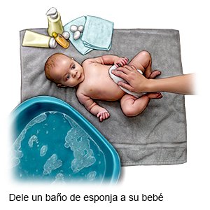 Baño De Esponja Para Su Bebé Care Guide Information En Espanol