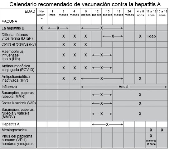 Calendario recomendado de vacunación contra la hepatitis A