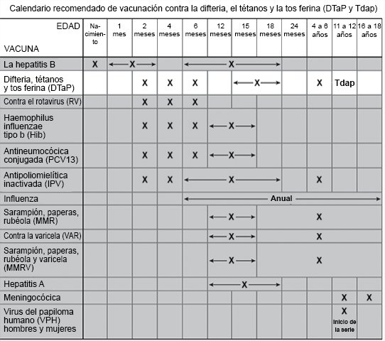 Calendario recomendado de vacunación con las vacunas DTaP y Tdap