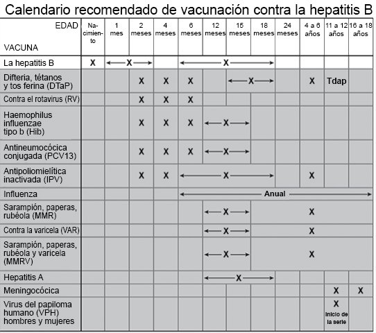 Calendario recomendado de vacunación contra la hepatitis B
