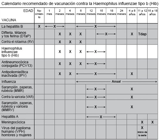 Calendario recomendado de vacunación contra la HiB