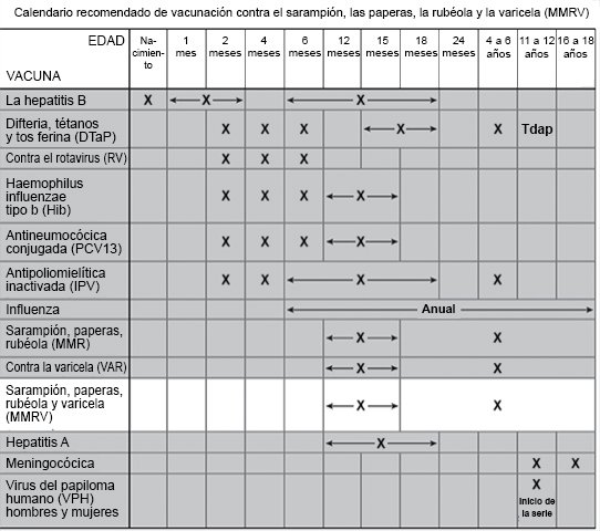 Calendario recomendado de vacunación contra el sarampión, las paperas, la rubéola y la varicela (MMRV)