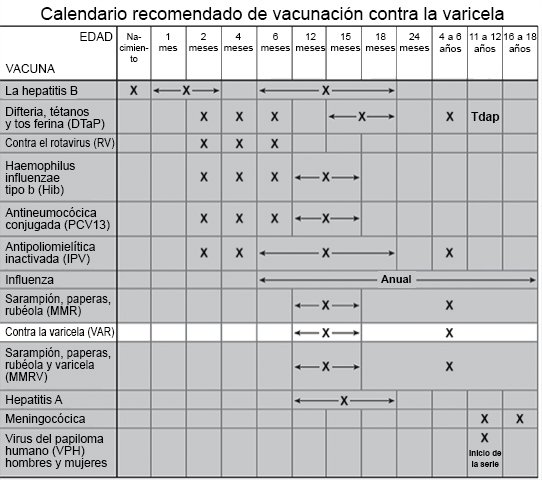 Calendario recomendado de vacunación contra la varicela (VAR)