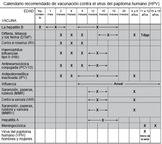 Calendario recomendado de vacunación contra el virus del papiloma humano (HPV)