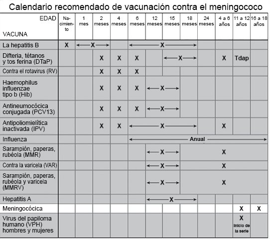 Calendario recomendado de vacunación contra el meningococo