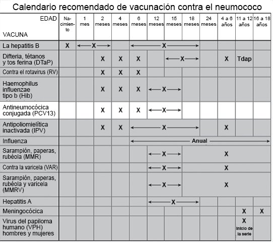 Calendario recomendado de vacunación contra el neumococo