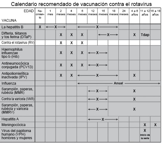 Calendario recomendado de vacunación contra el rotavirus