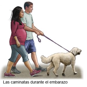 Las caminatas durante el embarazo