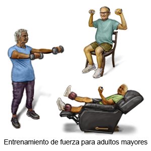 Entrenamiento de fuerza para adultos mayores